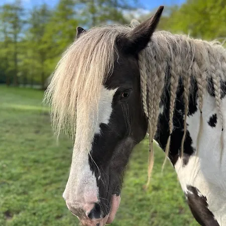 Le Ruisseau Idéal Pour Un à Deux Au Fil De L'eau *