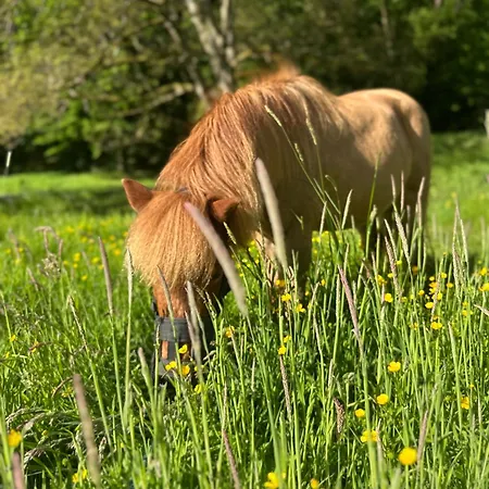 Le Ruisseau Idéal Pour Un à Deux Au Fil De L'eau Casa vacanze *